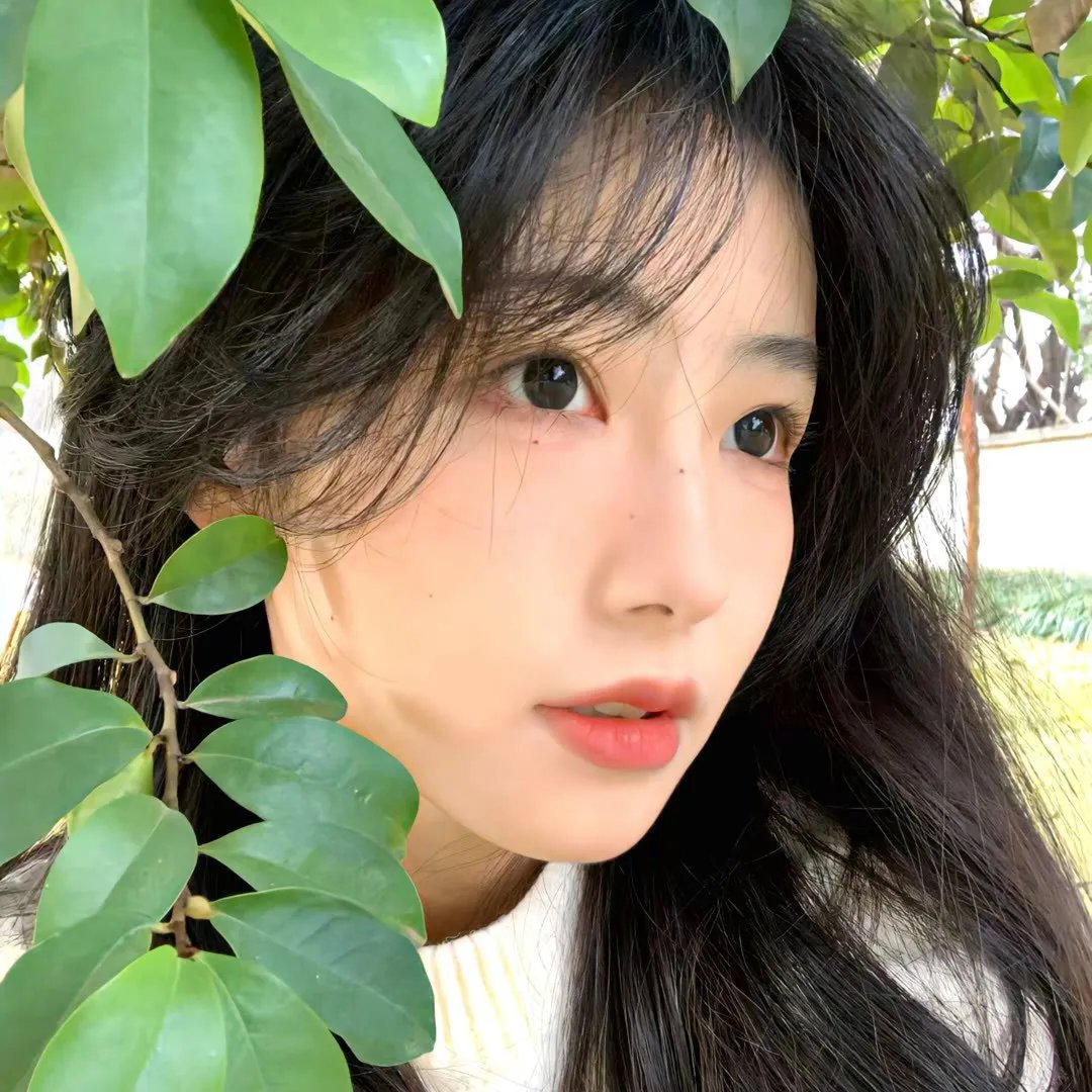 顾氏夫人马甲满天下